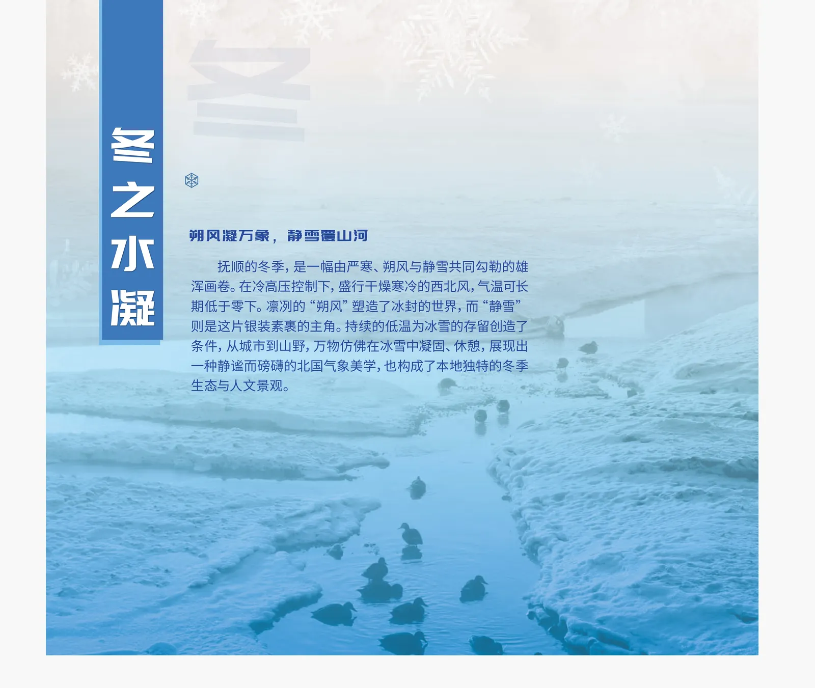 平面排版图 (4)